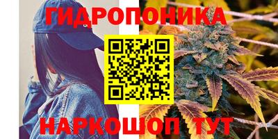 меф Можга