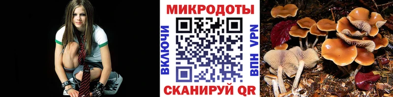 Галлюциногенные грибы Magic Shrooms Карабулак