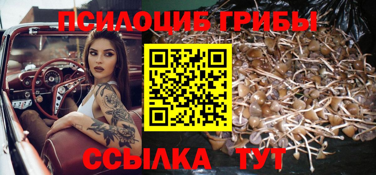 Галлюциногенные грибы мухоморы  Вход с VPN  Карабулак 
