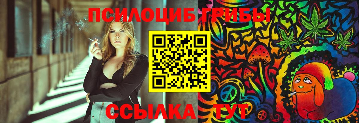 Псилоцибиновые грибы мицелий Карабулак
